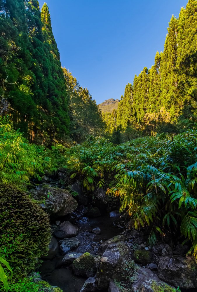 depuis le sentier du cap anglais