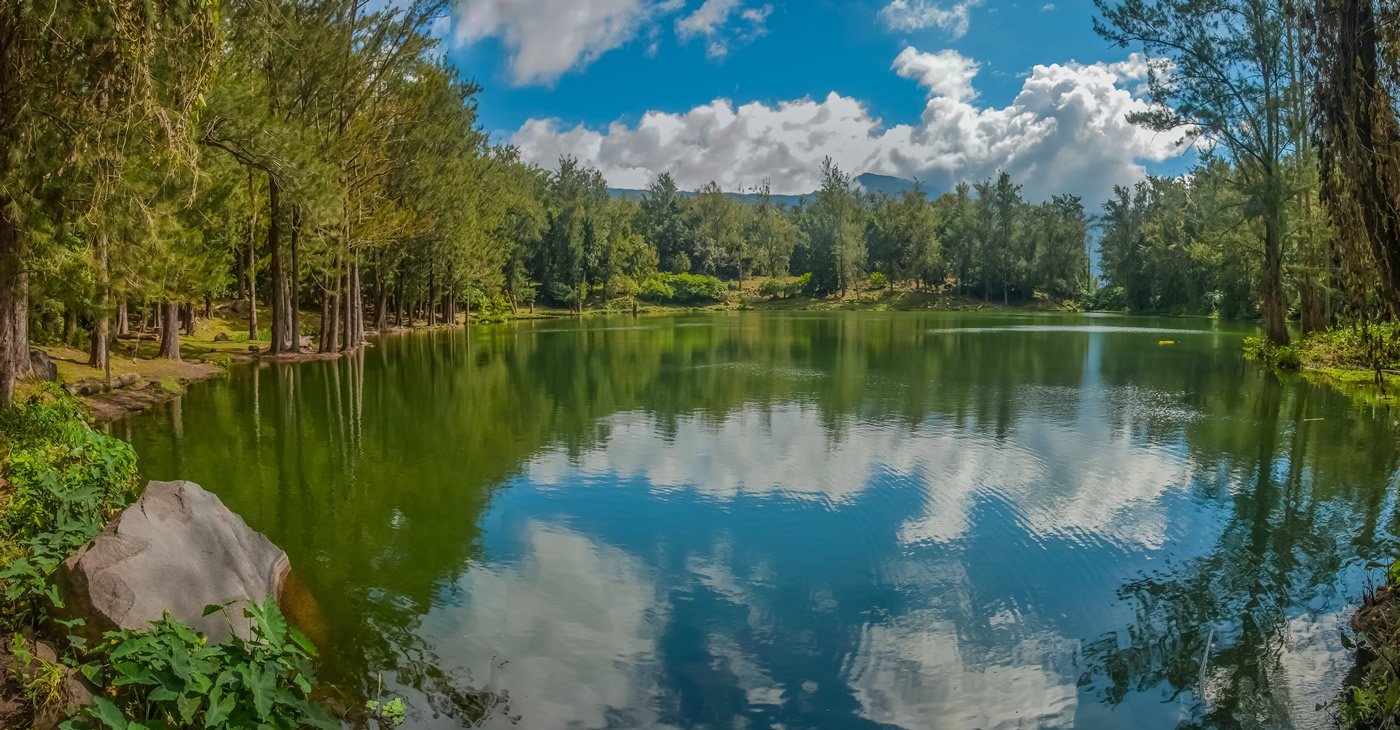 mare à poules d'eau